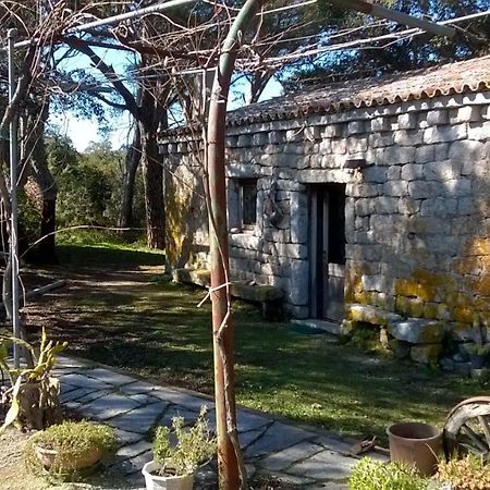 Agriturismo La Vigna เทมปิโอ เปาซาเนีย ภายนอก รูปภาพ