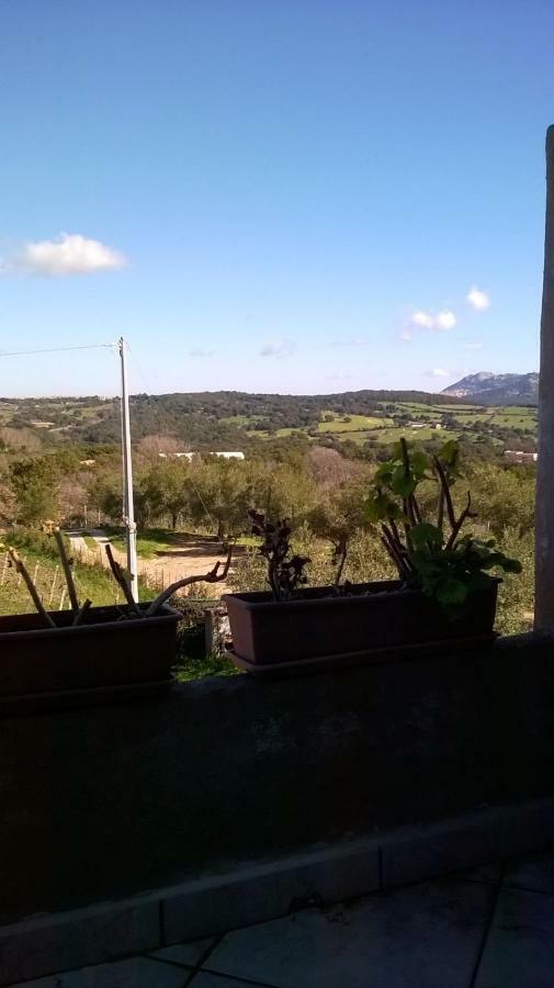Agriturismo La Vigna เทมปิโอ เปาซาเนีย ภายนอก รูปภาพ