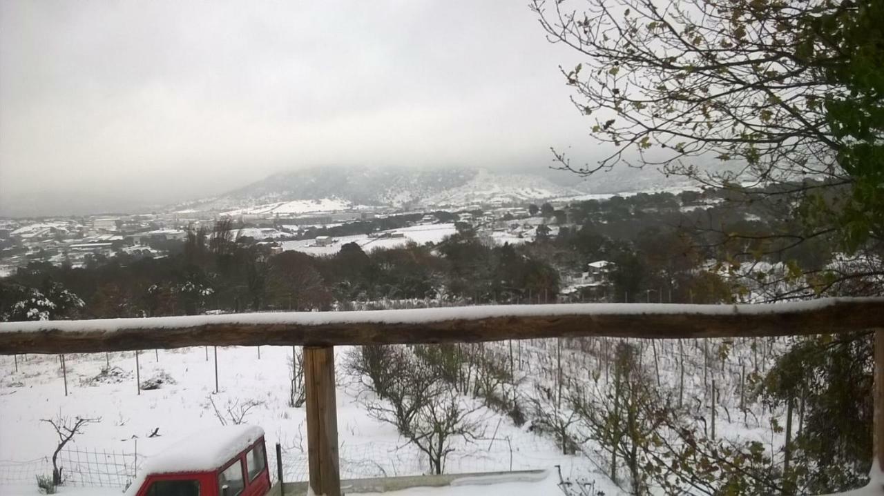 Agriturismo La Vigna เทมปิโอ เปาซาเนีย ภายนอก รูปภาพ