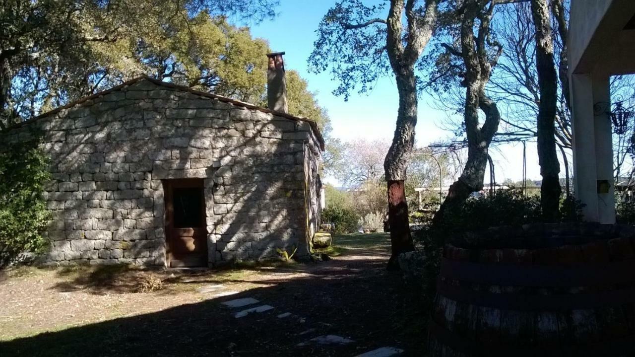 Agriturismo La Vigna เทมปิโอ เปาซาเนีย ภายนอก รูปภาพ