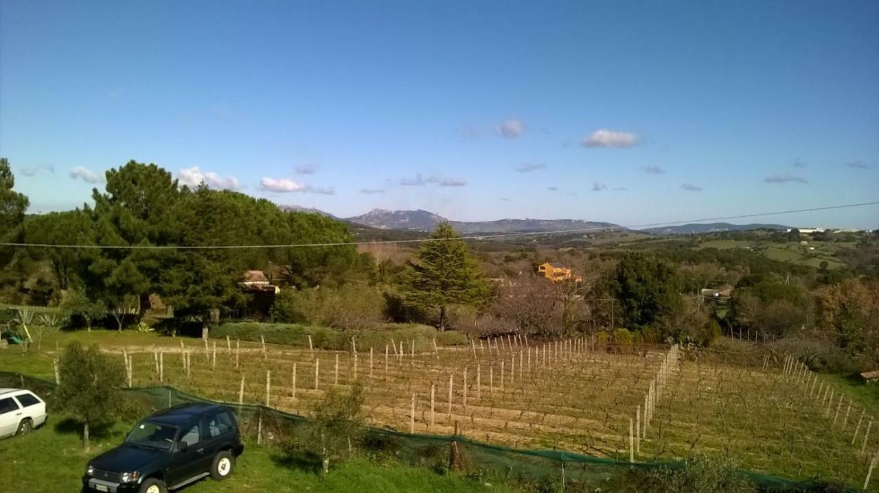 Agriturismo La Vigna เทมปิโอ เปาซาเนีย ภายนอก รูปภาพ