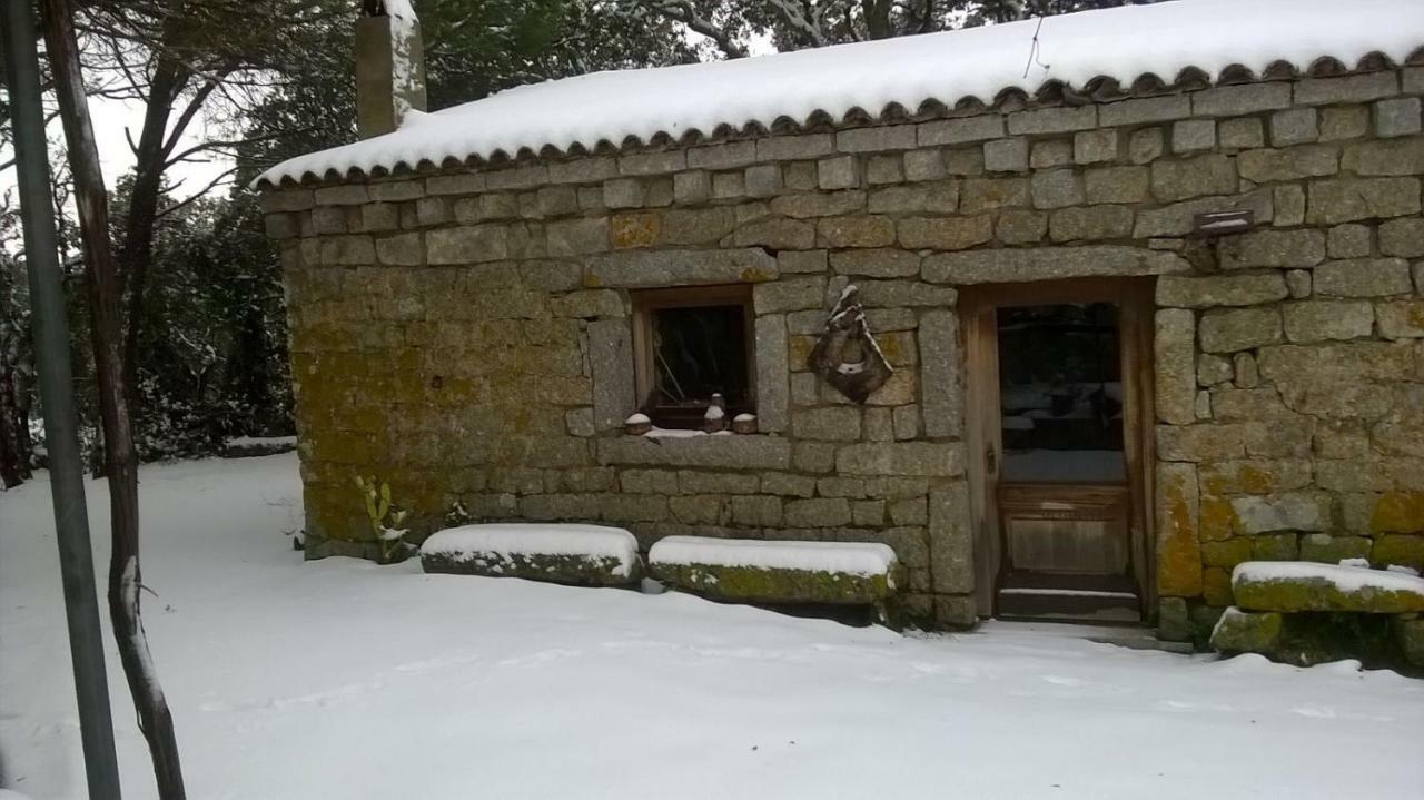 Agriturismo La Vigna เทมปิโอ เปาซาเนีย ภายนอก รูปภาพ