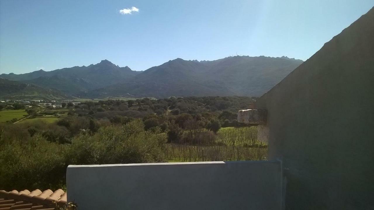 Agriturismo La Vigna เทมปิโอ เปาซาเนีย ภายนอก รูปภาพ