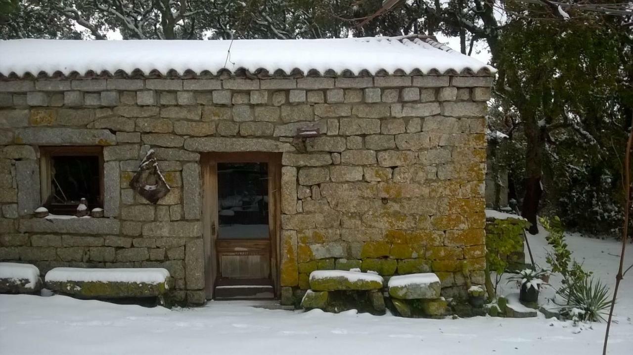 Agriturismo La Vigna เทมปิโอ เปาซาเนีย ภายนอก รูปภาพ
