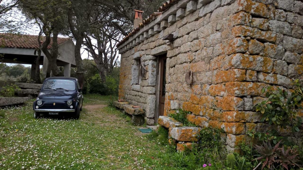 Agriturismo La Vigna เทมปิโอ เปาซาเนีย ภายนอก รูปภาพ