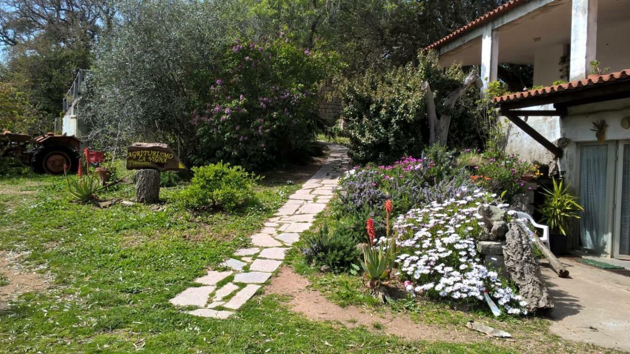 Agriturismo La Vigna เทมปิโอ เปาซาเนีย ภายนอก รูปภาพ
