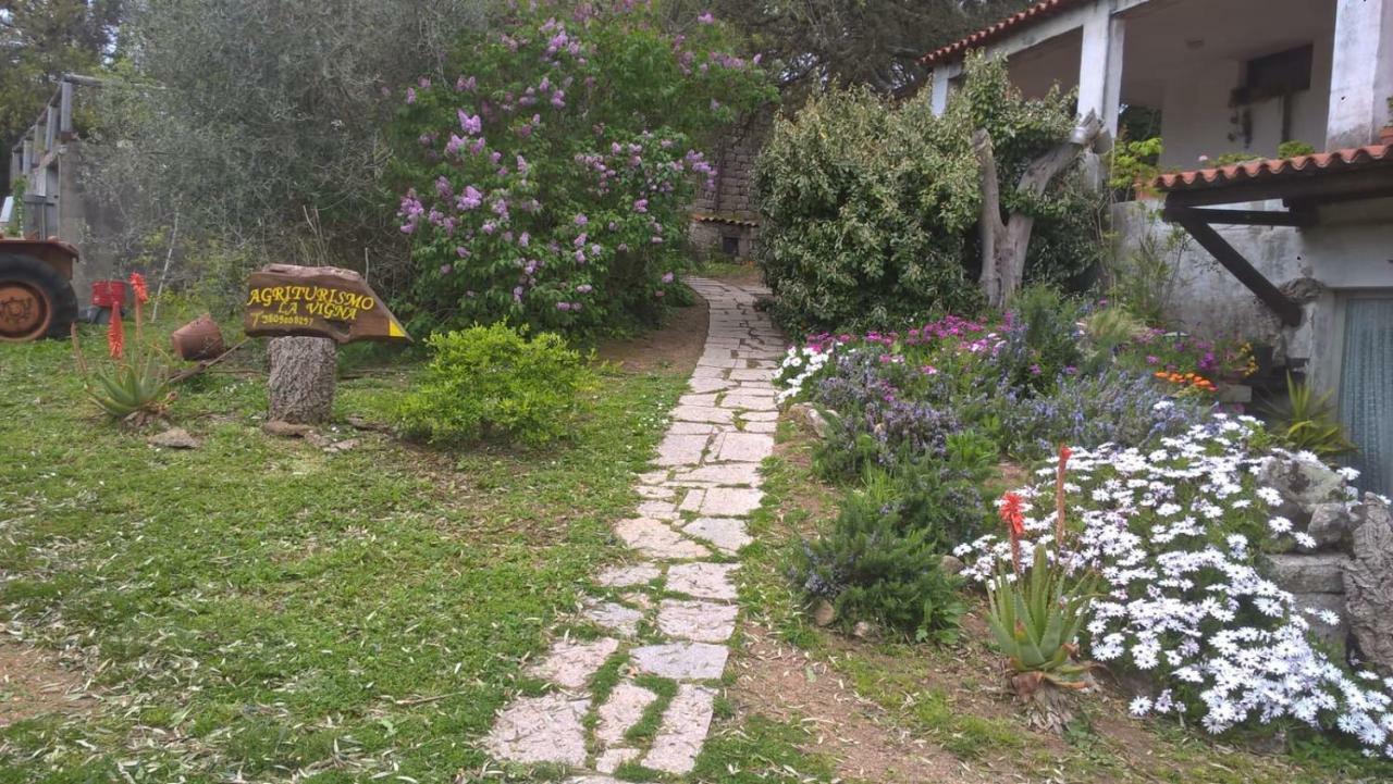 Agriturismo La Vigna เทมปิโอ เปาซาเนีย ภายนอก รูปภาพ