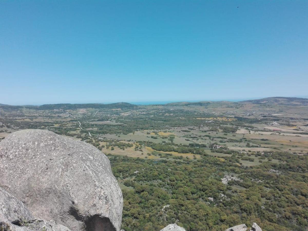 Agriturismo La Vigna เทมปิโอ เปาซาเนีย ภายนอก รูปภาพ